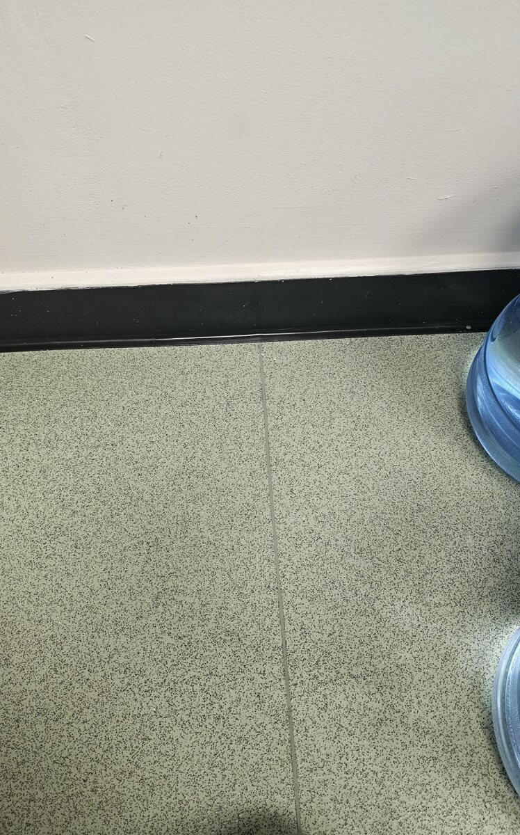 Vinyl flooring in nursery toilets after a commercial clean