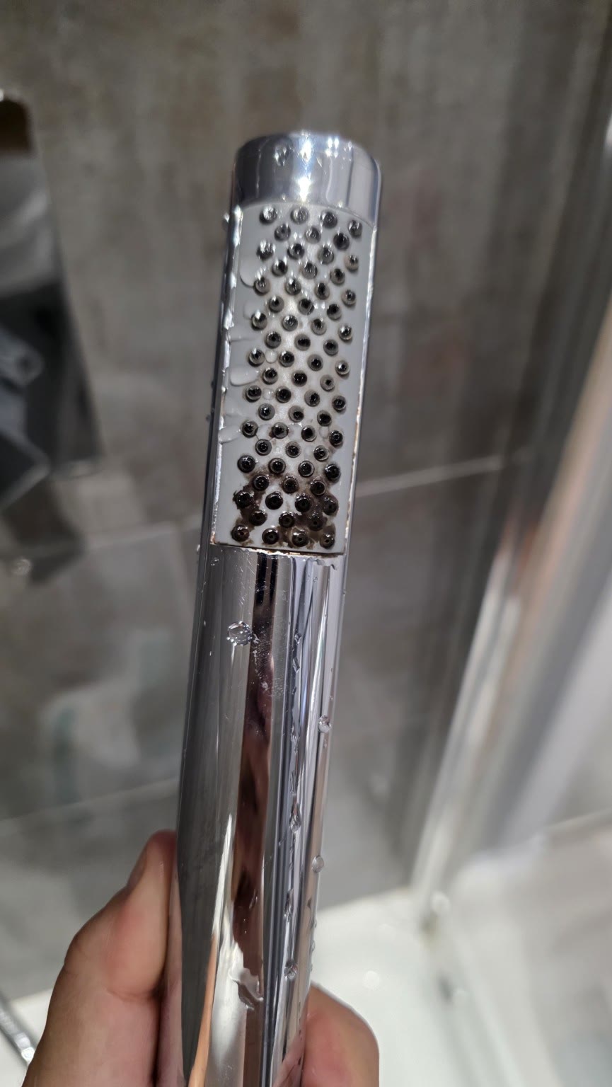 Shower head with dark surface mould and residue around the nozzles before treatment